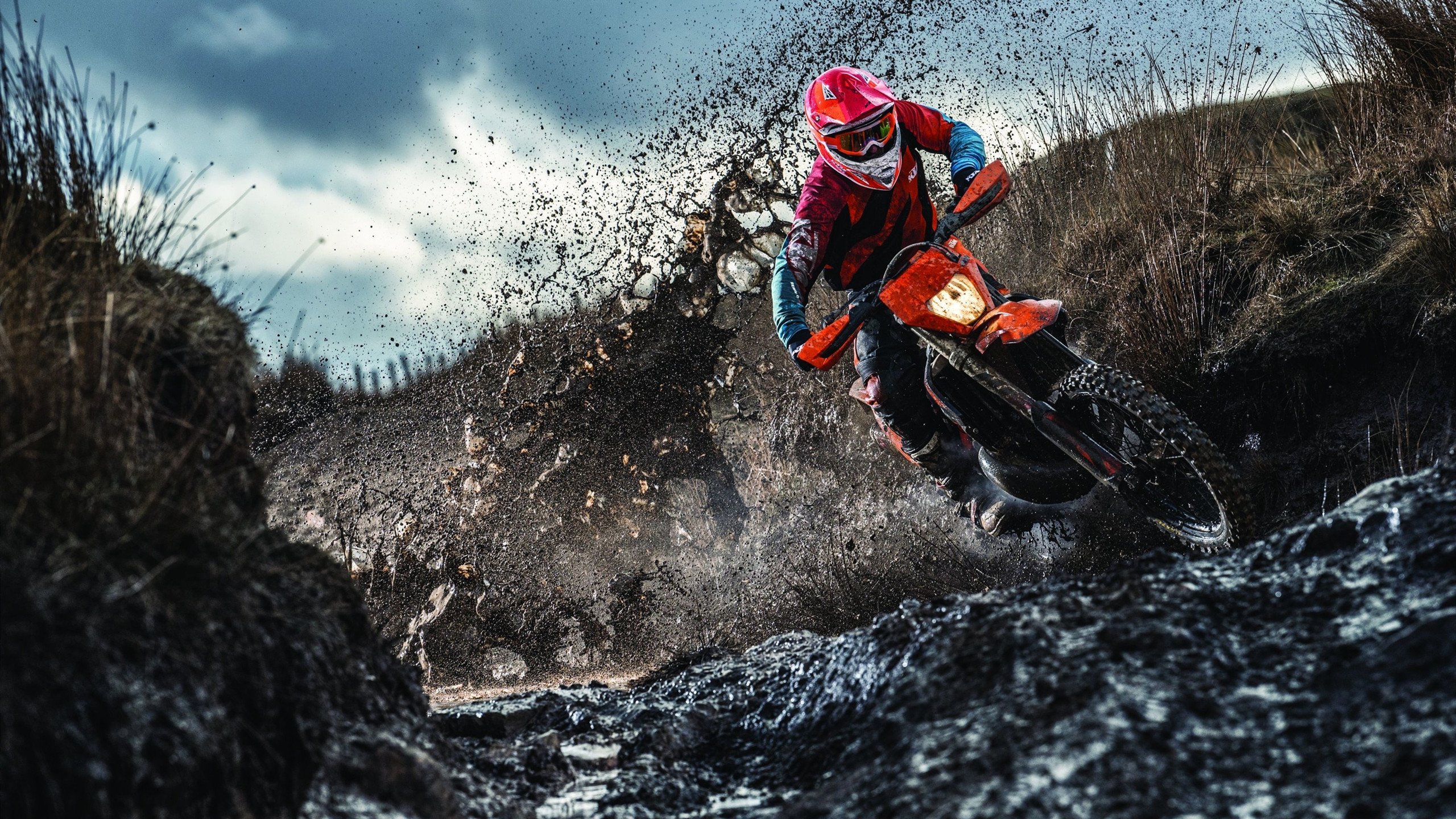 F1大奖赛速度与激情